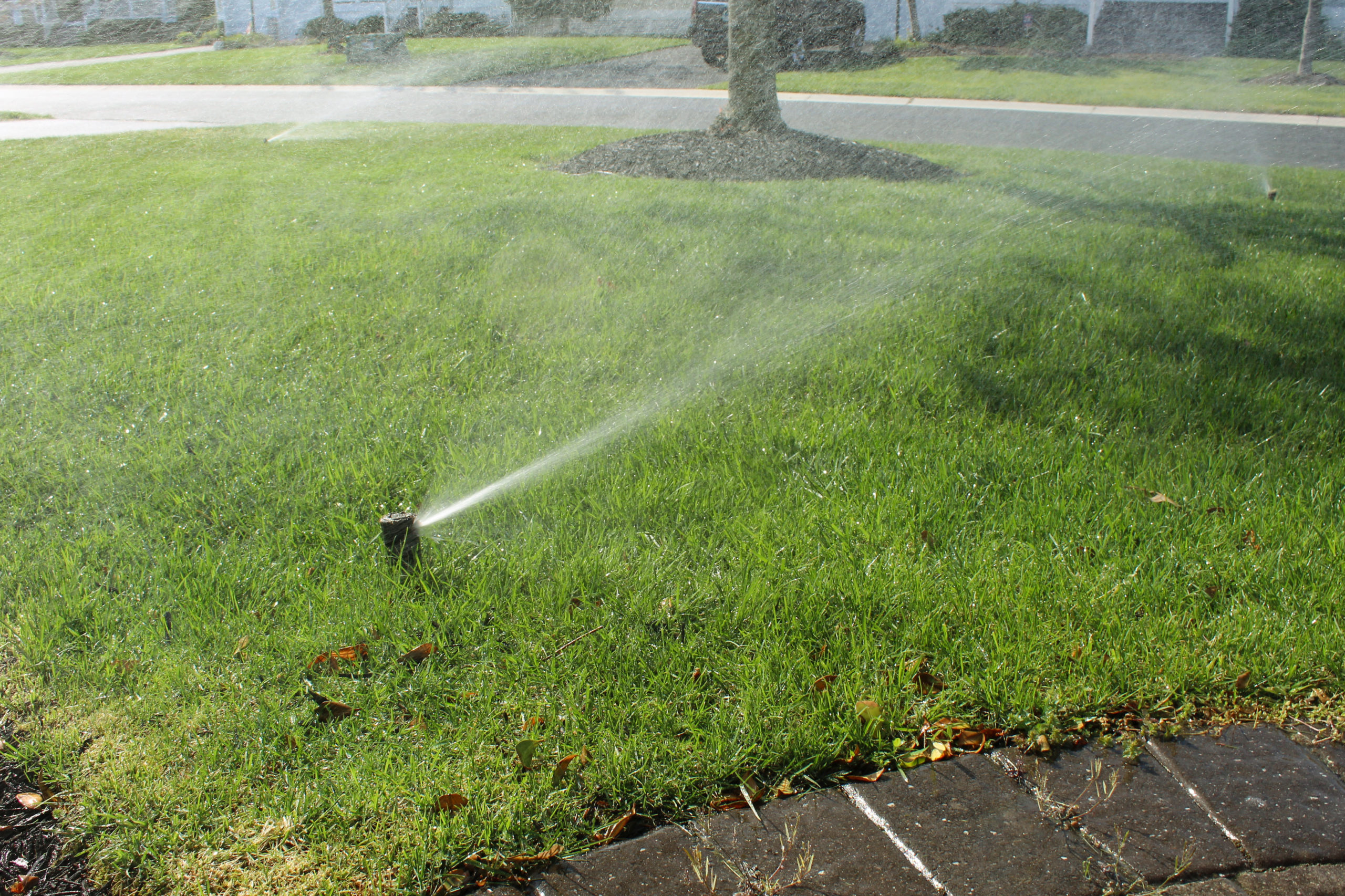 front yard irrigation system inspection